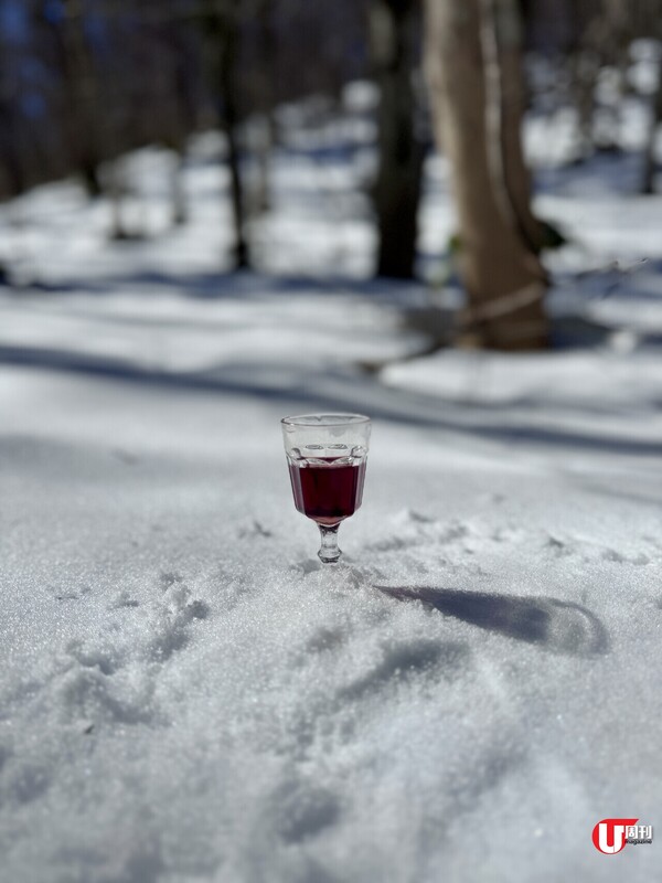【短線特搜】鳥取縣冬季必食松葉蟹 一丼有5隻蟹 機場3倍量蟹拉麵 加映雪鞋體驗（有片） 