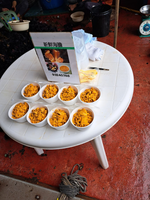 西貢海膽開季！新鮮海膽即開即食賣幾錢？遊客熱捧讚鮮甜