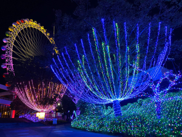 東京讀賣樂園舉辦夜櫻彩燈活動 180米長櫻花大道/期間限定燈光表演