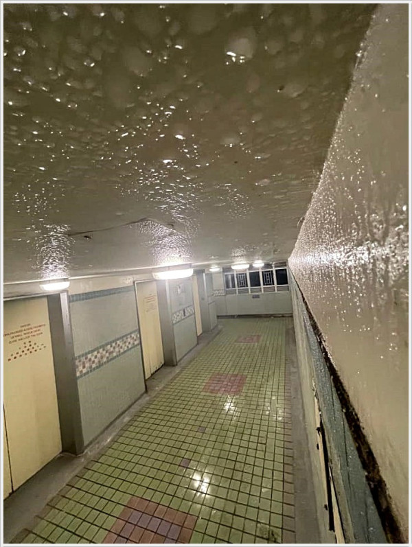 回南天濕度高易致脾胃虛弱 濕氣重5特徵6湯水必飲解春困/附防潮9秘技