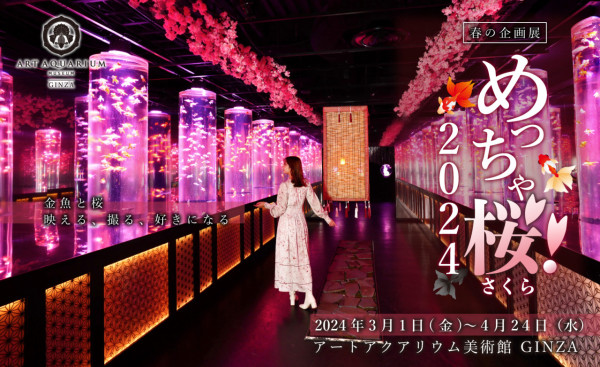 東京銀座藝術水族館推出春季企劃展 夢幻打卡位！結合櫻花+金魚元素 