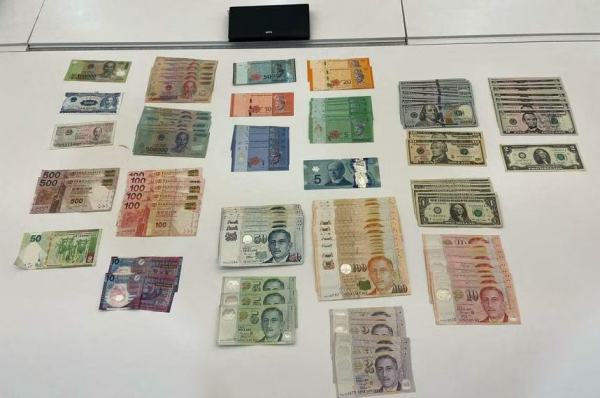 香港飛新加坡航班驚現飛機老鼠 男子偷約62萬港幣被捕落網 