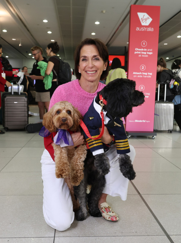 維珍航空宣佈允許攜帶貓狗坐飛機  國內線率先推出！ 