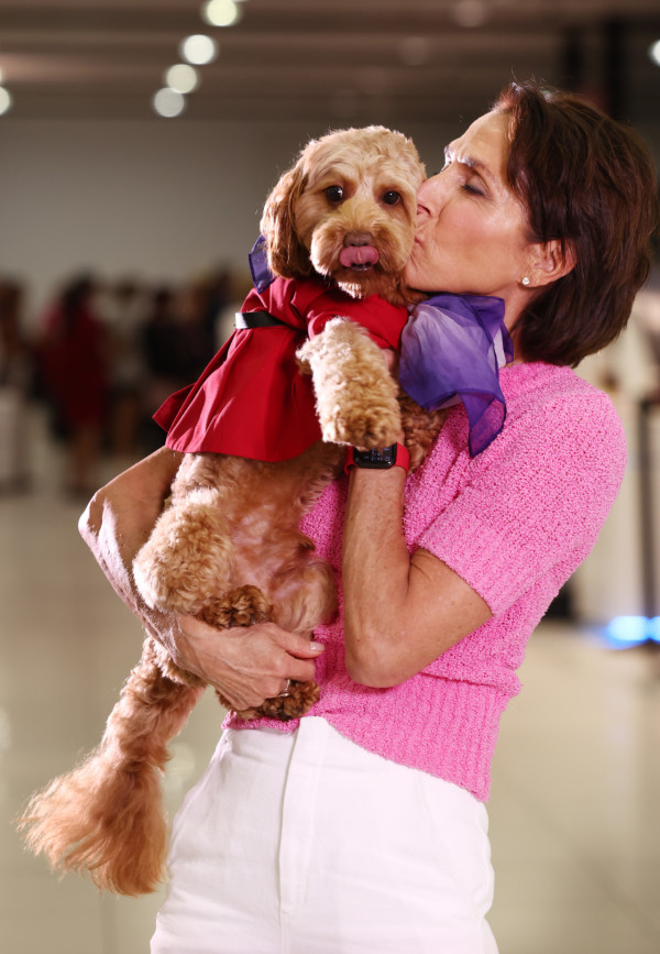 維珍航空宣佈允許攜帶貓狗坐飛機  國內線率先推出！ 