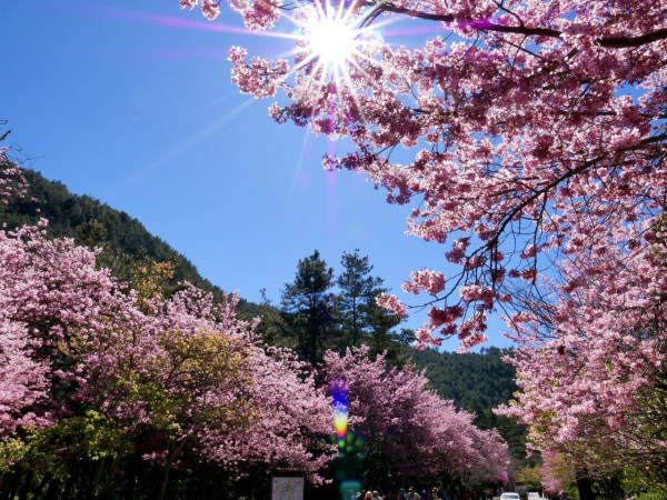 武陵農場（圖片來源：Facebook@武陵農場）