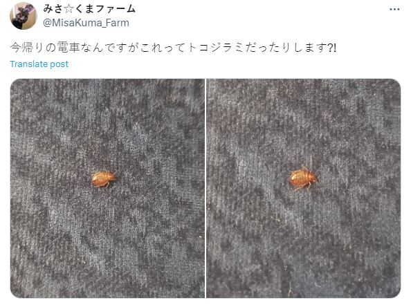 日本4月起實行信用卡新制度！遊日碌卡須輸入Pin碼？日本公司咁回應！ 