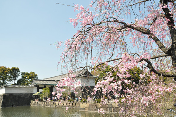 【請假攻略】只用3天年假狂賺10天日本賞櫻之旅！3個隱藏版「請長假」秘技 