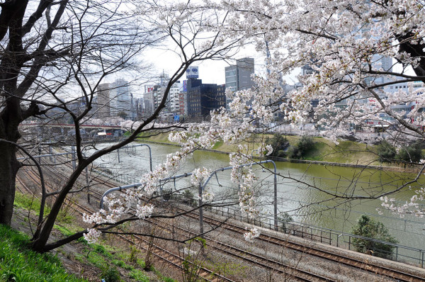 東京千代田櫻花祭3月尾舉辦 划船賞夜櫻+東京鐵塔極唯美！ 
