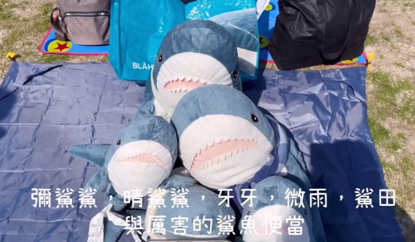 香港鯊鯊聚會之幻彩詠鯊江 大型IKEA鯊鯊聚會免費任影