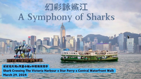 香港鯊鯊聚會之幻彩詠鯊江 大型IKEA鯊鯊聚會免費任影