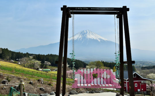 靜岡富士馬飼野牧場半日遊！壯觀富士山下盪鞦韆！ 