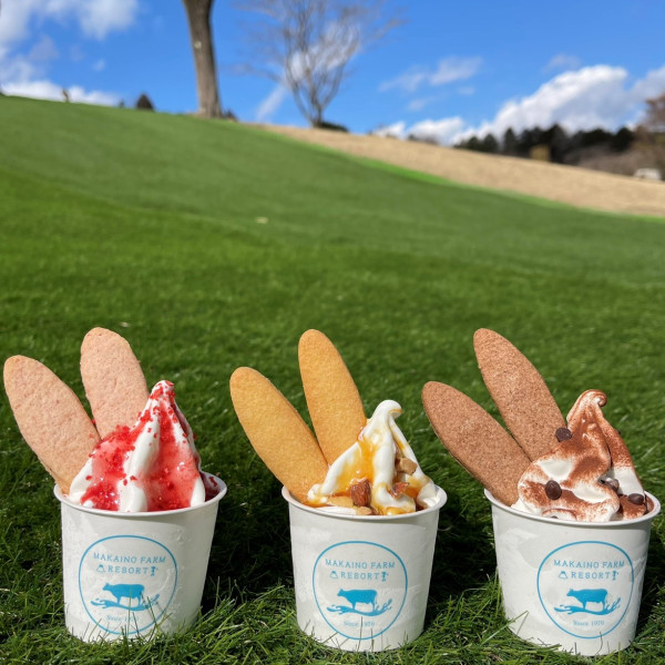 靜岡富士馬飼野牧場半日遊！壯觀富士山下盪鞦韆！ 