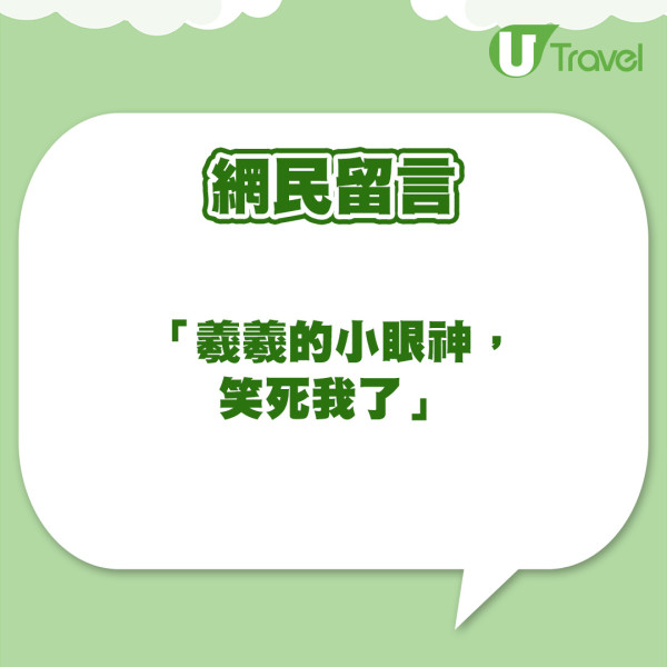 吳卓羲大馬與美女粉絲互動 主動握手慘食檸檬場面超尷尬!