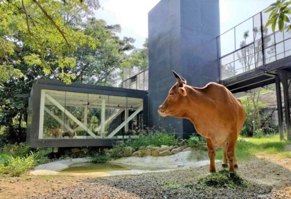 壽山動物園在2022年完成翻新。（圖片來源：壽山動物園）