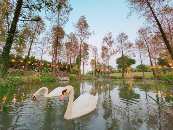 淨園農場（圖片來源：Facebook@淨園農場）