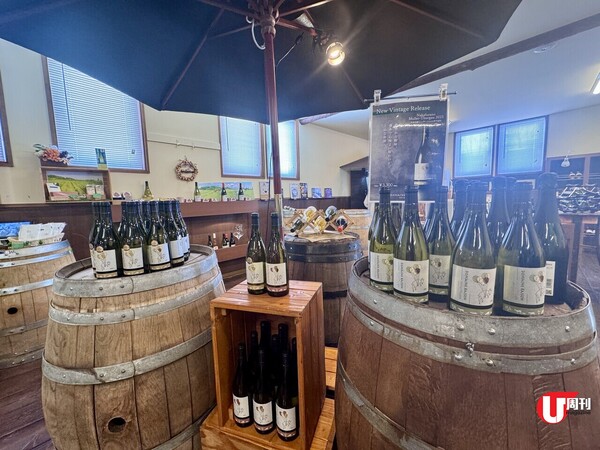 日本旅遊｜北海道雪季last call 全新酒店每晚人均低至8起 距離滑雪場3分鐘步程 仲代安排各式玩雪活動（有片） 