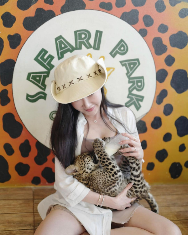 前華姐泰國性感當馴獸師 零距離親親野生動物/與老虎漫步森林