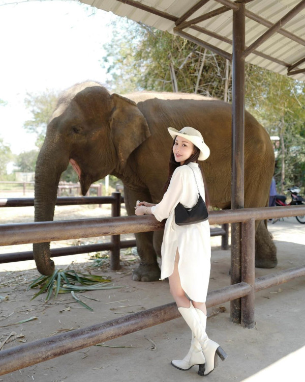 前華姐泰國性感當馴獸師 零距離親親野生動物/與老虎漫步森林