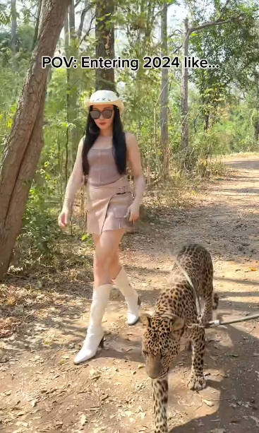 前華姐泰國性感當馴獸師 零距離親親野生動物/與老虎漫步森林 