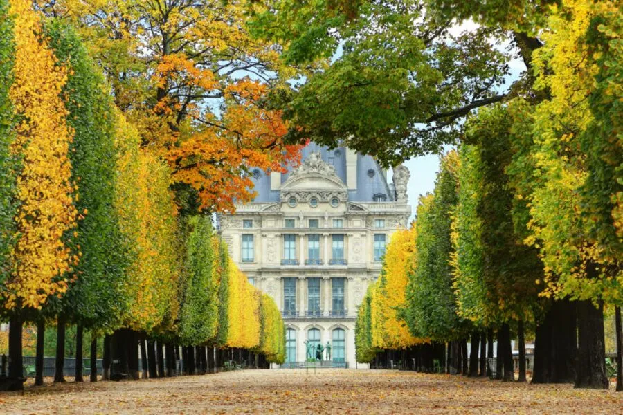 杜樂麗花園（圖片來源：Paris je t'aime）