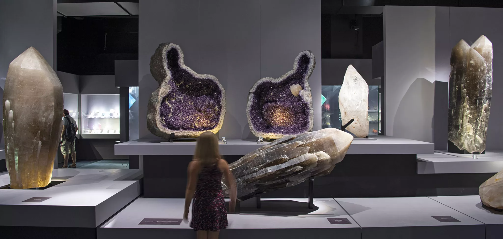 自然史博物館（圖片來源：Jardin des Plantes）