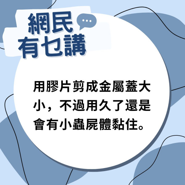 蚊蟲入屋｜廚房潮濕天氣養蟲 去水口湧出大量蚊滋 專家教防治法每月做一步KO