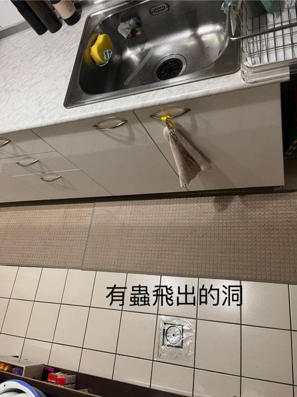 蚊蟲入屋｜廚房潮濕天氣養蟲 去水口湧出大量蚊滋 專家教防治法每月做一步KO