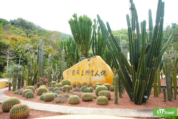 深圳仙湖植物園郊遊攻略 季節限定金黃落羽杉林打卡必去！兩時段免費入場 