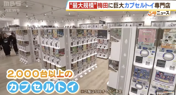 大阪最大規模「扭蛋森林」開幕！逾2000台扭蛋機、一抽300円起 