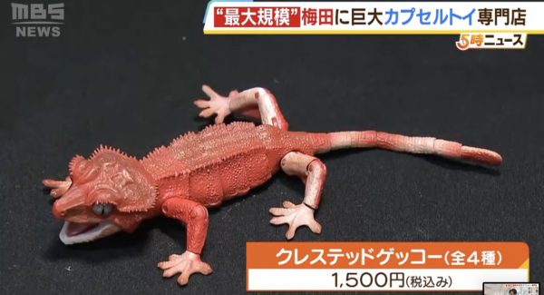 大阪最大規模「扭蛋森林」開幕！逾2000台扭蛋機、一抽300円起 