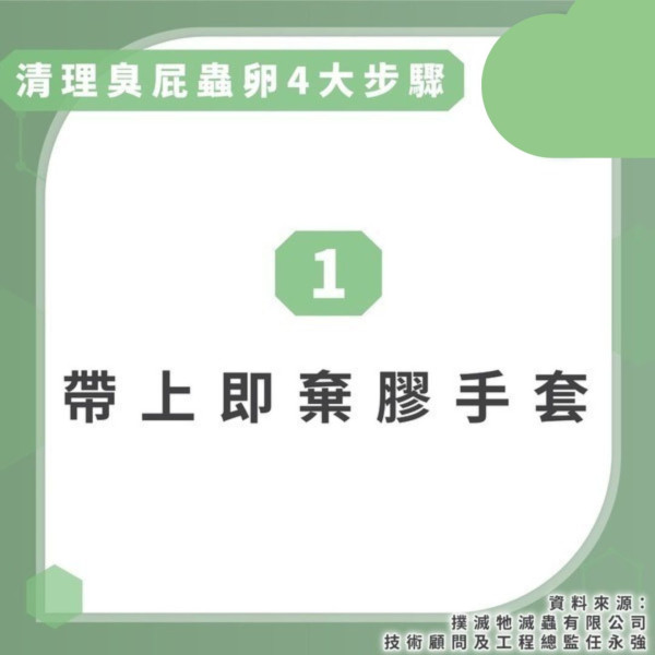 臭蟲入屋｜打開衣櫃發現怪蟲牢抓長褲 港女擒獲入盒 專家警告小心噴毒液【附處理方法】