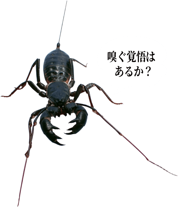 東京池袋水族館期間限定展覽勁獵奇 30種有毒生物+奇蟲氣味體驗 