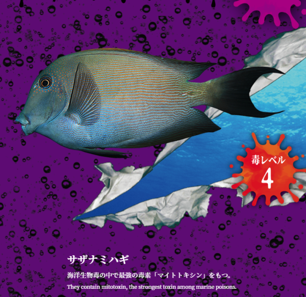 東京池袋水族館期間限定展覽勁獵奇 30種有毒生物+奇蟲氣味體驗 