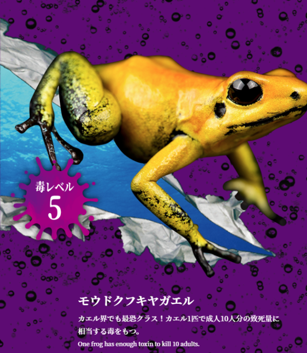 東京池袋水族館期間限定展覽勁獵奇 30種有毒生物+奇蟲氣味體驗 