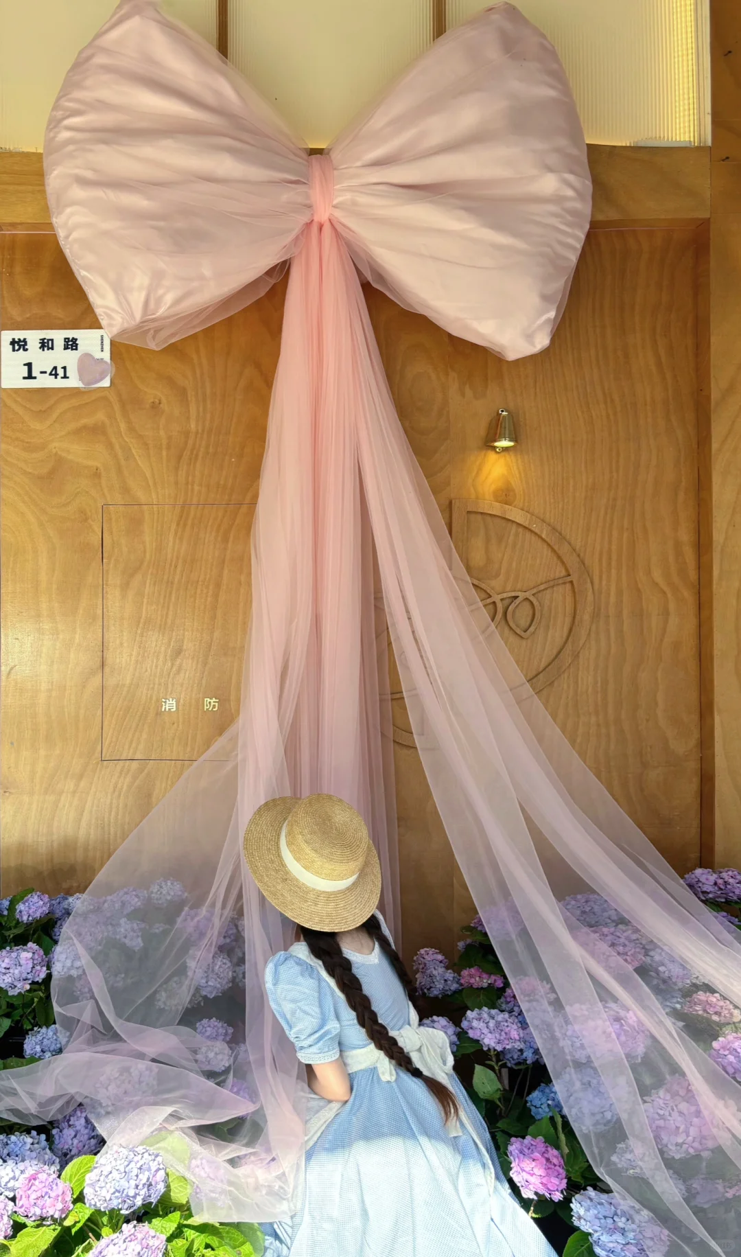 深圳3間繡球花主題Cafe推薦!夢幻田園風花海打卡!