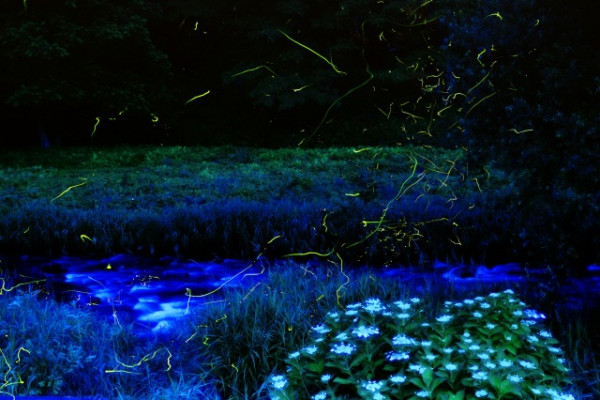 山形縣「溫泉王國」推薦|小野川溫泉(圖片來源:佳日遊) 日本山形縣「溫泉王國」3大推薦!冬天必看雪走廊/雪屋、夏季參加螢火蟲祭典