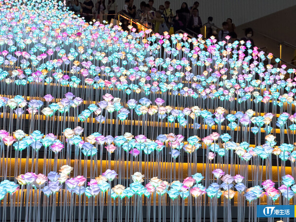 九龍灣東九文化中心LED花海正式開放！連夜改設計 變身彩色花花配熱氣球