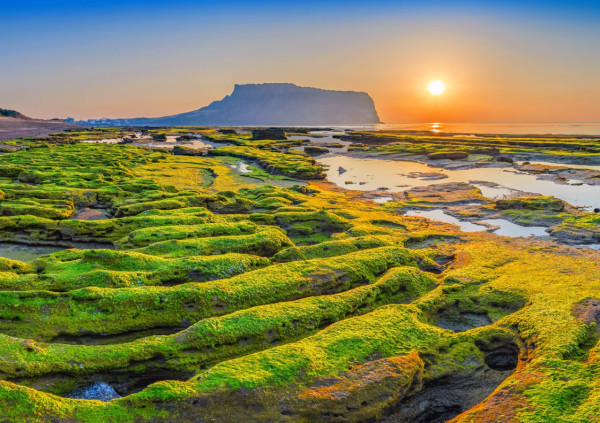 【旅遊鋒】探索自然景觀和文化魅力濟州島