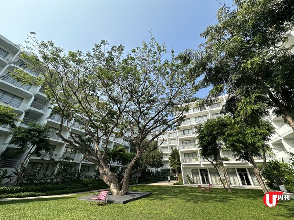 【泰國酒店】記者試住！曼谷近郊五星超型resort華欣The Standard，連稅每晚5起，連2人早餐,101 | 復古美式Barbie風、Villa內有Disco波波 