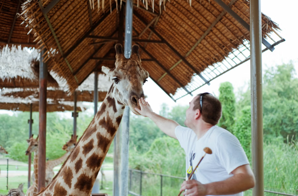 塞福瑞野生動物園（Safari World）是亞洲最大的野生動物園。（圖片來源：Safari World）