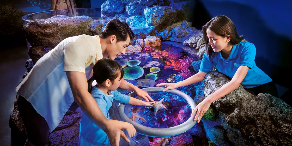 SEA LIFE曼谷海洋世界擁有近3萬隻海洋生物，逾400個物種。（圖片來源：SEA LIFE曼谷海洋世界）