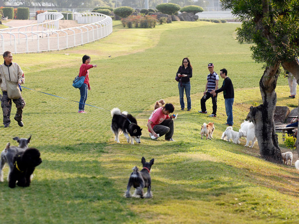 狗狗好去處彭福公園（圖片來源：香港旅遊發展局）