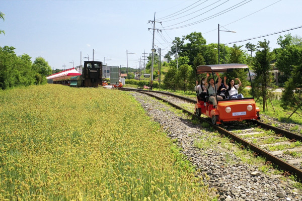 江村鐵路自行車（圖片來源︰railpark）