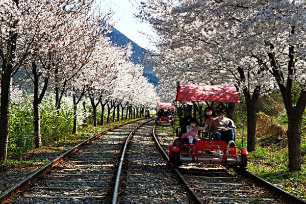 江村鐵路自行車（圖片來源︰railpark）