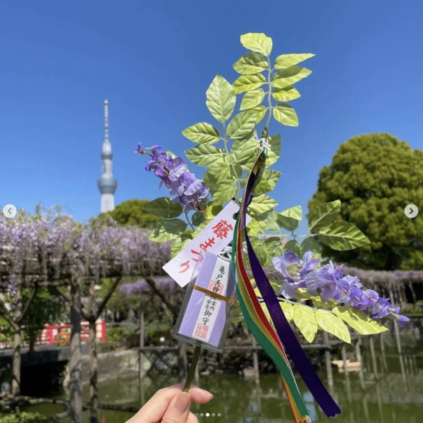 亀戸天神社的紫藤周邊產品。（圖片來源：IG@kameidotenjinsha_official）