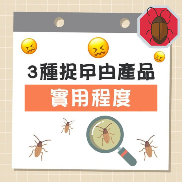 蚊蟲出沒｜巨型曱甴入屋蚊拍電暈膠紙封印 港女：屋企人唔畀用殺蟲水