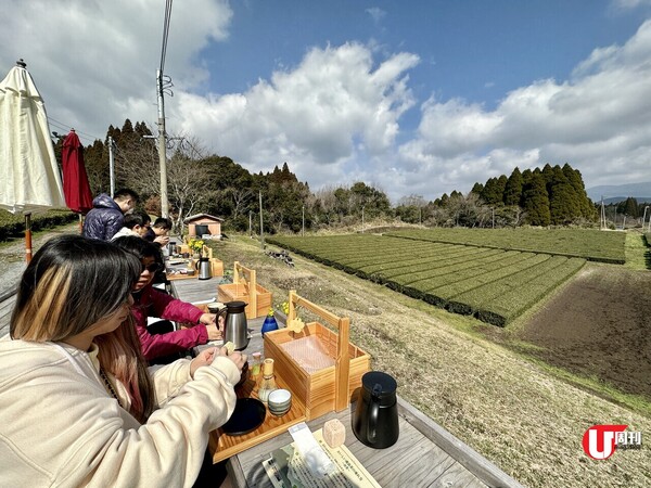 鹿兒島5大食買玩景點 | 百年黑毛和牛店直營餐廳、茶園第一排景觀賞茶、隱秘森林玻璃屋 