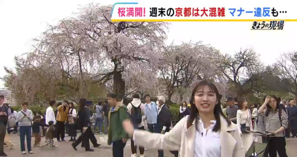 京都遊客增加街道滿地垃圾 日本網友控訴：觀光公害！ 