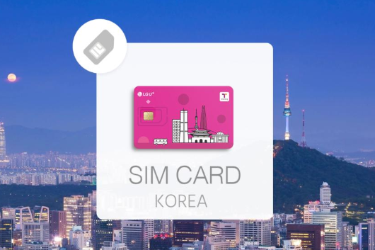 韓國電話卡推介│流動上網SIM卡/電話號碼支援通話 最平每日$6任用 