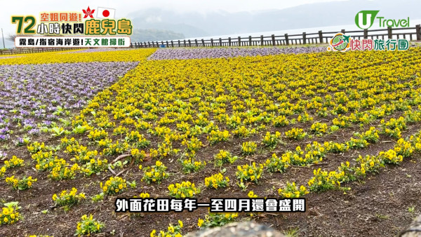 【快閃旅行團】記者挑戰72小時快閃鹿兒島！玩盡15大景點+美食推介 